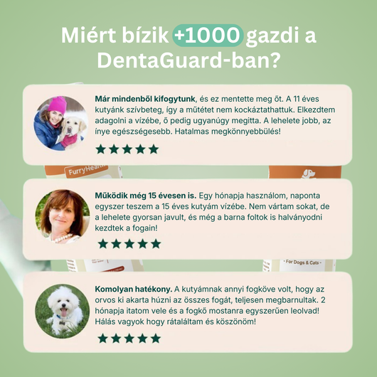 DentaGuard™ Vízadalék